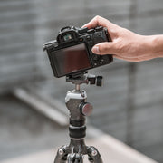 Beetle camera clip with arca swiss plate