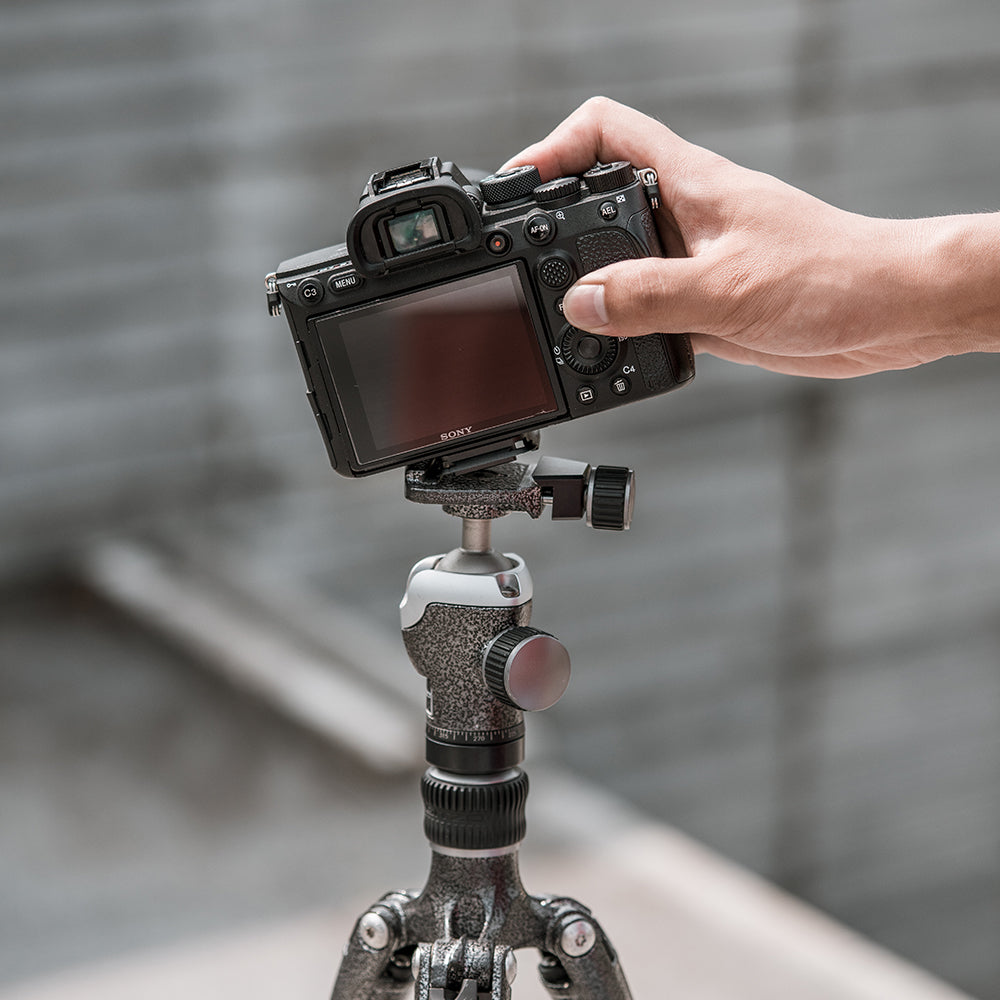 Beetle camera clip with arca swiss plate.