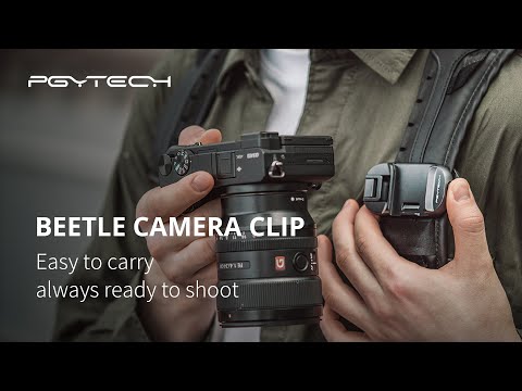 Beetle Camera Clip